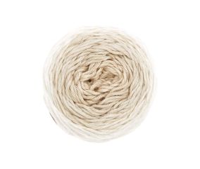 Pelote coton pour Amigurumi RICORUMI SPIN SPIN DK 50 gr - Rico Design