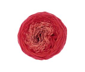 Pelote coton pour Amigurumi RICORUMI SPIN SPIN DK 50 gr - Rico Design