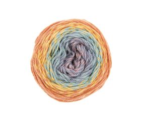 Pelote coton pour Amigurumi RICORUMI SPIN SPIN DK 50 gr - Rico Design