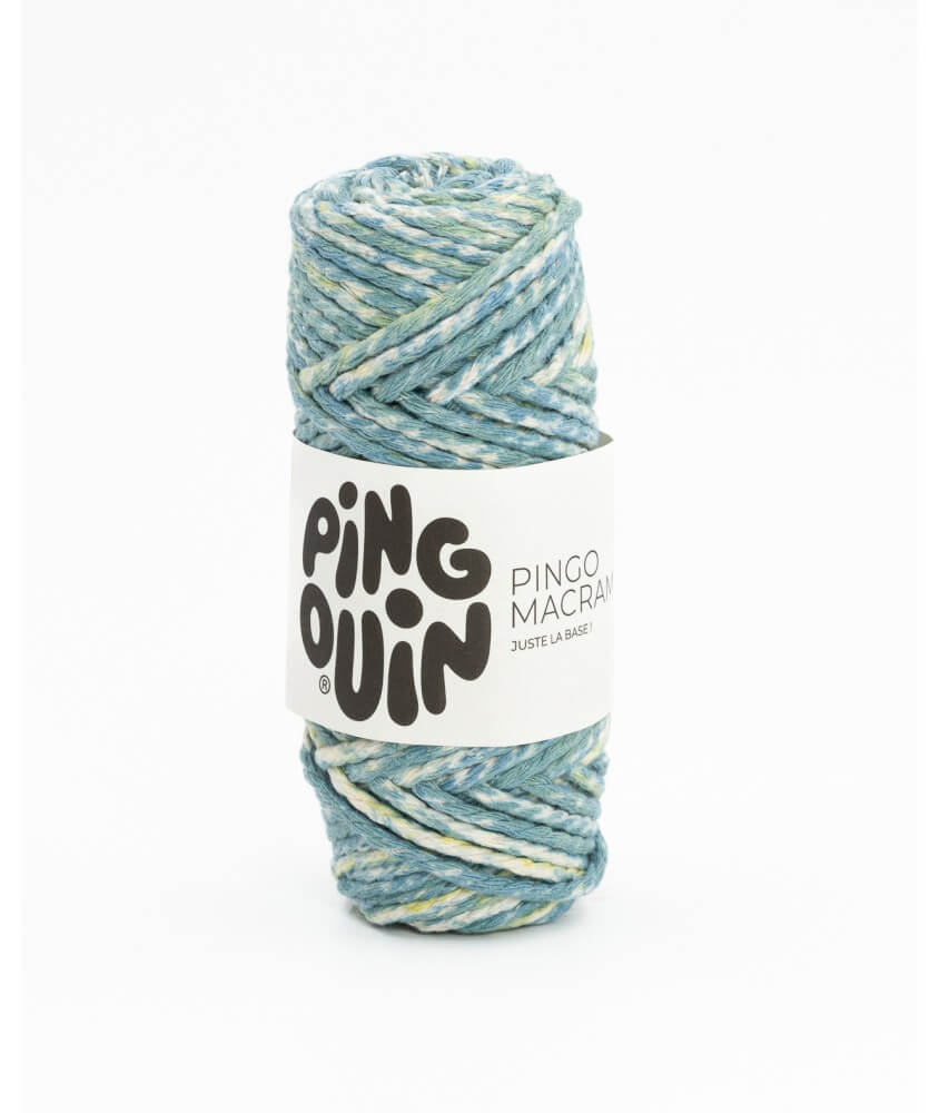 Bobine de corde PINGO MACRAME - 100GR - Pingouin