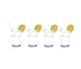 Gin tonic miniatures, 4 pcs pour le monde des lutins - Rico Design