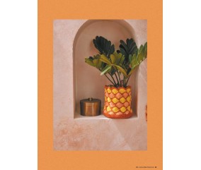 Magazine N°15 : Sunset Spaces – Pingouin